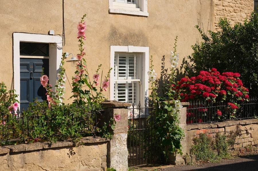 The Cottage Garden